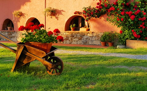 Suite Orchidea Seaside and Pool: Have, Landscaping, Gård, Blomsterkrukke, Backyard, Hacienda, Stueplante