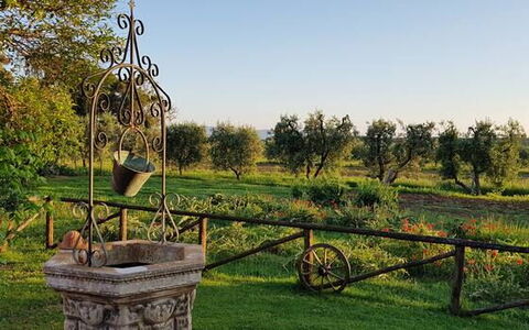 Appartamento Girasole Seaside and Pool: Almindeligt, Have, Parkere, Lawn, Gård, Landscaping, Plantation, Botanisk Have, Farm, Backyard