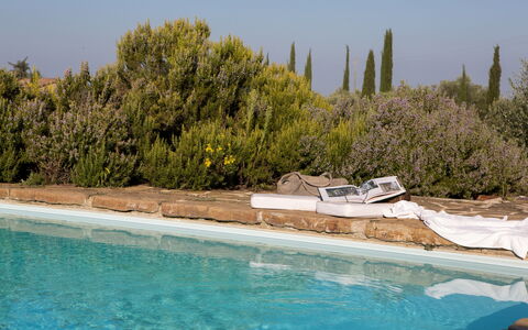 Podere Sangiovese, Pool and View in Chianti: Landscaping, Evergreen, Svømmepøl, Pine Family