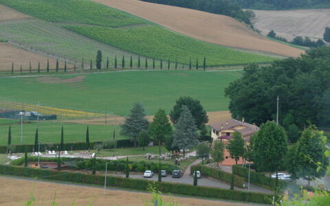 Tenuta Borgo al Sole: Landdistrikt, Plantation, Mark, Landbrug, Landsby, Farm, Landscaping, Evergreen