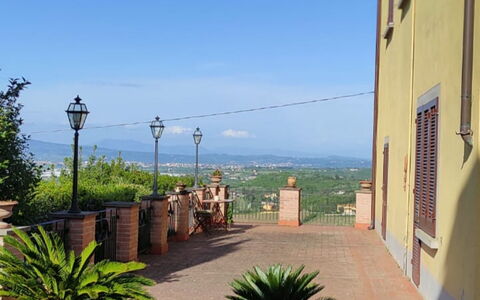 Villa Luce San Miniato: Blomsterkrukke, Stueplante