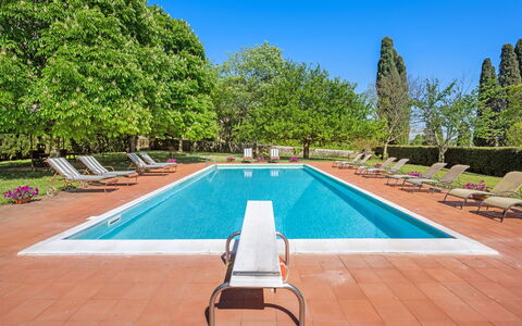 Medieval Castle Living: Vineyards, Swimming Pool &: Busk, Have, Svømmepøl, Estate, Hacienda, Skygge, Landscaping, Lawn, Villa, Udvej