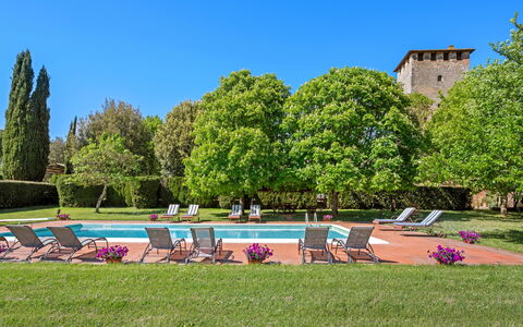 Medieval Castle Living: Vineyards, Swimming Pool &: Busk, Have, Estate, Hacienda, Lawn, Landscaping, Plantation, Hæk, Gårdsplads, Parkere