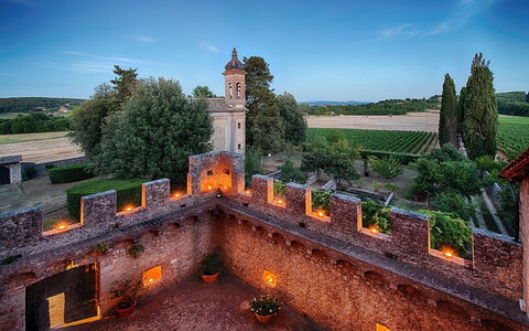 Medieval Castle Living: Vineyards, Swimming Pool &: Landskab, Slot, Estate, Have, Historisk Sted, Middelalderlig Arkitektur, Befæstning, Palads, Mansion