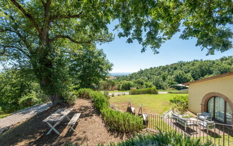 Cignella Resort: Træ, Blad, Vegetationen, Naturlige Landskab, Busk, Landskab, Land Lot, Landdistrikt, Plantesamfund