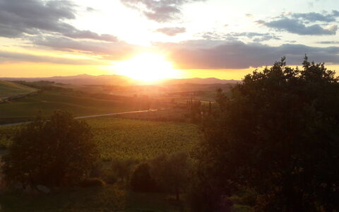 Podere Peteglia: Sol, Horisont, Natur, Solnedgang, Naturlige Landskab, Solopgang, Afterglow, Bakke, Landskab, Skumring