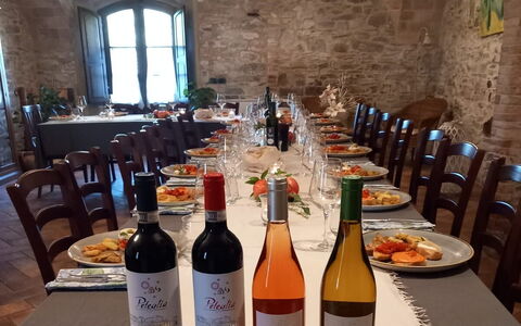 Podere Peteglia: Møbel, Flaske, Restaurant, Stol, Vin, Stueplante, Glas Flaske, Barware, Køkken & Spisebord