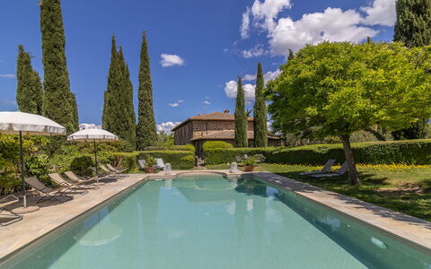 Podere Peteglia: Busk, Have, Svømmepøl, Hæk, Landscaping, Estate, Hacienda, Eco Hotel, Villa, Gårdsplads