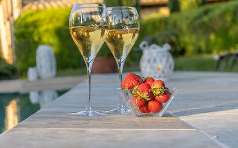 Podere Peteglia: Glasservice, Bordservice, Drinkware, Vinglas, Barware, Vin, Champagne