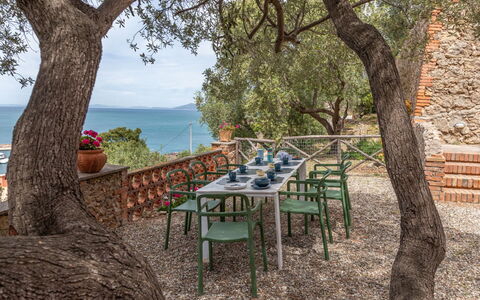 Villa Fior di Roccia: Udendørs Møbler, Have, Skygge, Udendørs Bord, Stol, Landscaping, Hacienda, Tropics, Backyard