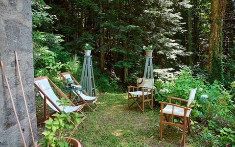 Il Gallinaio, Vivo D'Orcia: Træ, Vegetationen, Møbel, Plantesamfund, Udendørs Møbler, Bagagerum, Have, Bunddække, Forår, Stol