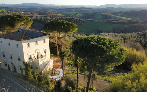Villa Elisa: Boligområde, Hus, Arkitektur, Busk, Landskab, Estate, Hjem, Menneskelig Bosættelse, Mansion, Hacienda