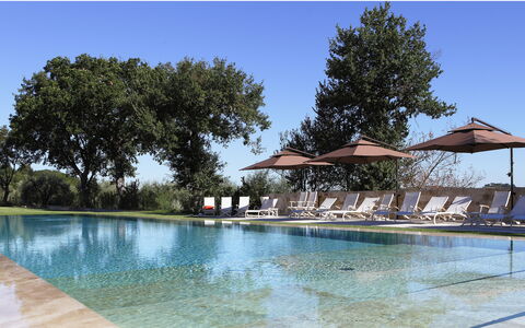 Poggio Mori 20: Svømmepøl, Vand, Træ, Afspejling, Udendørs Møbler, Udvej, Water Feature, Have, Liggestol, Skygge