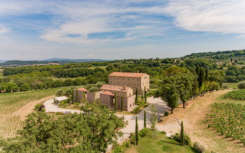 Poggio Mori 20: Landskab, Busk, Landdistrikt, Land Lot, Estate, Menneskelig Bosættelse, Plantation, Hacienda, Have, Landscaping