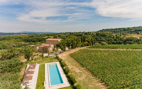 Poggio Mori 20: Landskab, Landdistrikt, Land Lot, Plantation, Almindeligt, Landbrug, Estate, Mark, Farm, Eng