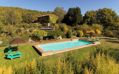 Artemisia: Svømmepøl, Fritid, Have, Udvej, Eco Hotel, Estate, Hacienda, Stuehus, Landscaping, Backyard