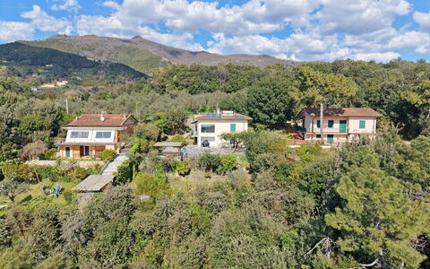 Villa Il Giardino: Vegetationen, Landdistrikt, Bakke, Landskab, Boligområde, Hus, Highland, Plantesamfund, Hjem, Hill Station