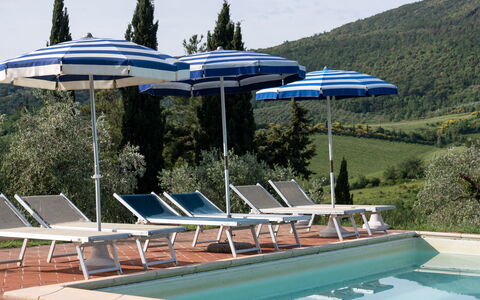 Podere le Lune with Pool, San Gimignano: Udendørs Møbler, Udvej, Skygge, Udendørs Bord, Svømmepøl, Liggestol, Stol, Eco Hotel, Paraply, Stueplante
