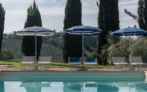 Podere le Lune with Pool, San Gimignano: Blå, Svømmepøl, Udendørs Møbler, Udvej, Skygge, Liggestol, Villa, Landscaping, Eco Hotel, Hotel