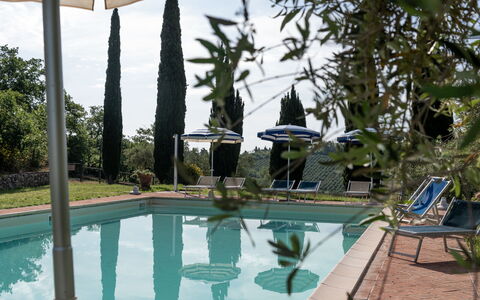 Podere le Lune with Pool, San Gimignano: Svømmepøl, Udvej, Udendørs Møbler, Fritid, Eco Hotel, Blomsterkrukke, Liggestol, Skygge, Hacienda, Landscaping