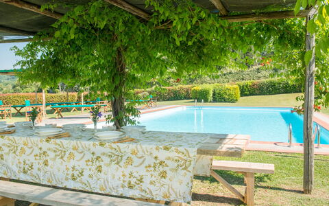 Martini: Skygge, Have, Svømmepøl, Eco Hotel, Hacienda, Udendørs Møbler, Udvej, Backyard, Plantation, Udendørs Struktur