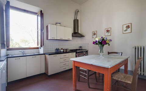 Martini: Gulvbelægning, Køkken, Indretning, Køkken Apparat, Møbel, Countertop, Cabinetry, Hjem, Etage, Større Bandage