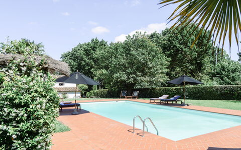 Fattoria: Svømmepøl, Udvej, Skygge, Eco Hotel, Hacienda, Estate, Udendørs Møbler, Have, Landscaping, Villa