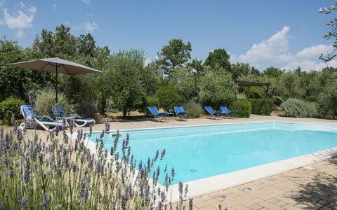 Villa El Olivar: Svømmepøl, Have, Estate, Landscaping, Udendørs Møbler, Hacienda, Udvej, Villa, Backyard, Stuehus