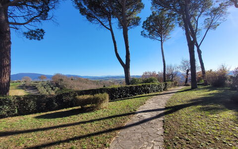 Villa El Olivar: Himmel, Blå, Blad, Træ, Grøn, Naturligt Miljø, Natur, Afdeling, Vegetationen, Naturlige Landskab