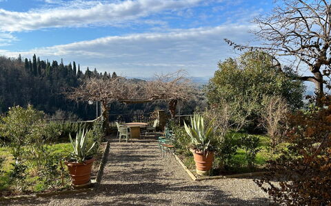 Villa Il Casalino, Florentine Hills with Pool: Vegetationen, Busk, Landskab, Plantesamfund, Blomsterkrukke, Have, Landscaping, Botanisk Have, Walkway