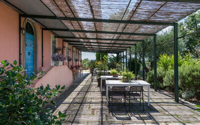 Feriebolig:&nbsp;Vite