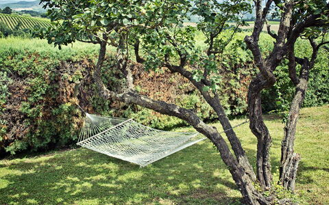 Villa Selvamica: Bagagerum, Have, Vedplante, Lawn, Skygge, Backyard, Plantation