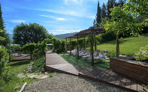 Villa Grevigiana: Busk, Landskab, Have, Plantesamfund, Land Lot, Skygge, Bunddække, Udendørs Møbler, Landscaping, Udendørs Struktur