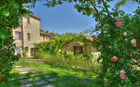 Villa Incanto: Blomst, Busk, Have, Kronblad, Forår, Landscaping, Urteagtig Plante, Backyard, Gård, Rose Family