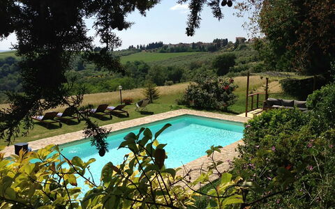 Villa Novellina: Svømmepøl, Have, Udvej, Fritid, Udendørs Møbler, Backyard, Eco Hotel, Skygge, Hacienda, Landscaping