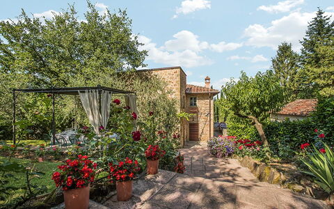 Villa Panorama: Busk, Have, Forår, Blomsterkrukke, Backyard, Landscaping, Gård, Mursten, Stueplante