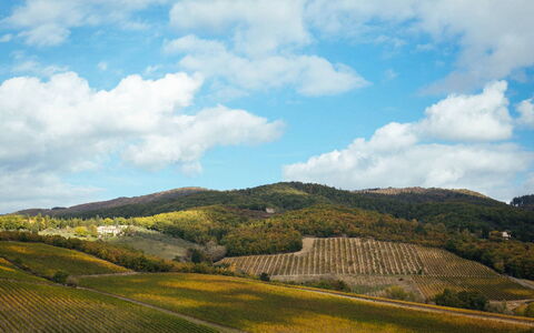 Villa Torre del Chianti: Bjergrige Landskabsformer, Bakke, Naturlige Landskab, Bjerg, Highland, Landskab, Græs-, Økoregion, Landdistrikt, Mark
