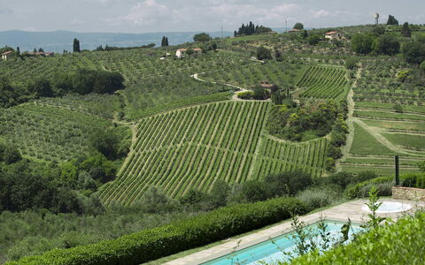 Villa Chianti: Plantation, Landbrug, Landskab, Busk, Land Lot, Landdistrikt, Hill Station, Mark, Bunddække, Vineyard