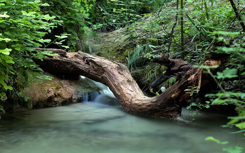 Borgo di San Biagio: Vandressourcer, Vand, Krop Af Vand, Natur, Vandløb, Grøn, Naturligt Miljø, Strøm, Vegetationen, Afdeling