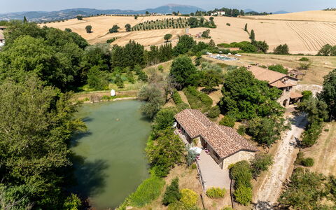 Il Giuncheto Apartments, Pool, Umbrian Countryside: Træ, Hus, Landdistrikt, Landskab, Hjem, Land Lot, Menneskelig Bosættelse, Sommerhus, Estate