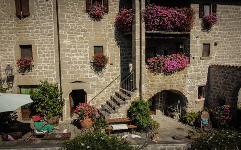 Agriturismo Arcera: Blomsterkrukke, Stueplante, Blomsterhandlere, Have, Gårdsplads, Gård, Floral Design, Hacienda