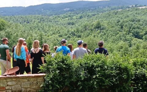 Villa Campo al Vento - Country Farm: Naturligt Miljø, Natur, Blad, Sommer, Fritid, Bakke, Landskab, Fritid, Plantesamfund, Forår