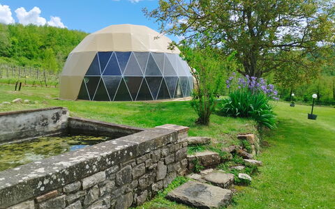 Villa Campo al Vento - Country Farm: Græs, Dome, Dome, Have, Eng, Landscaping, Botanisk Have, Parkere, Plantation