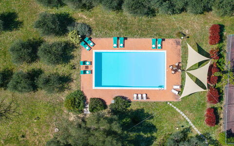 Il Leccio, Vinci, Private Pool and Tennis: Svømmepøl, Udvej, Fritid, Eco Hotel, Estate, Skygge, Landscaping, Hacienda, Udendørs Møbler, Lawn