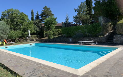 Casa Chimera: Svømmepøl, Blå, Udvej, Kompositmateriale, Skygge, Eco Hotel, Backyard, Hacienda, Have, Water Feature