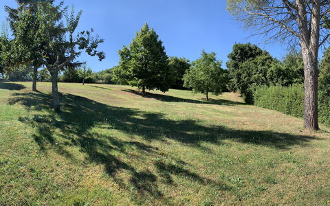 Casa Chimera: Træ, Græs, Naturligt Miljø, Afdeling, Græs-, Almindeligt, Land Lot, Pasture, Bagagerum