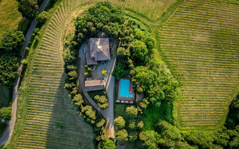 Maison Badia a Passignano: Plantation, Eco Hotel, Have, Estate, Landbrug, Landscaping, Fugleperspektiv, Backyard, Villa