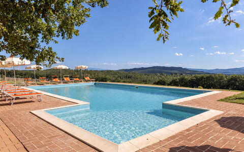 Casa Stella Serena, Casole D'Elsa, Pool: Svømmepøl, Eco Hotel, Udvej, Estate, Hacienda, Stuehus, Villa, Landscaping, Ferieby, Hotel