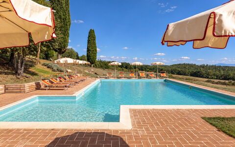 Casa Stella Serena, Casole D'Elsa, Pool: Estate, Hacienda, Landscaping, Villa, Svømmepøl, Plantation, Stuehus