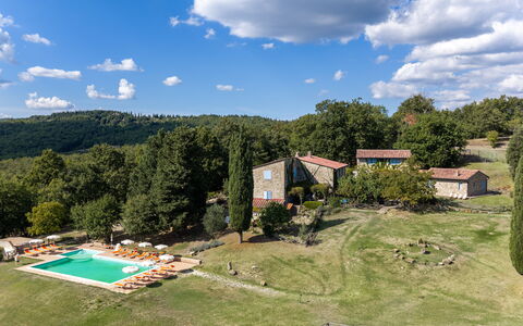 Casa Stella Serena, Casole D'Elsa, Pool: Træ, Landskab, Græs-, Almindeligt, Land Lot, Landdistrikt, Estate, Eng, Sommerhus, Lawn